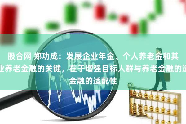 股合网 郑功成：发展企业年金、个人养老金和其他商业养老金融的关键，在于增强目标人群与养老金融的适配性